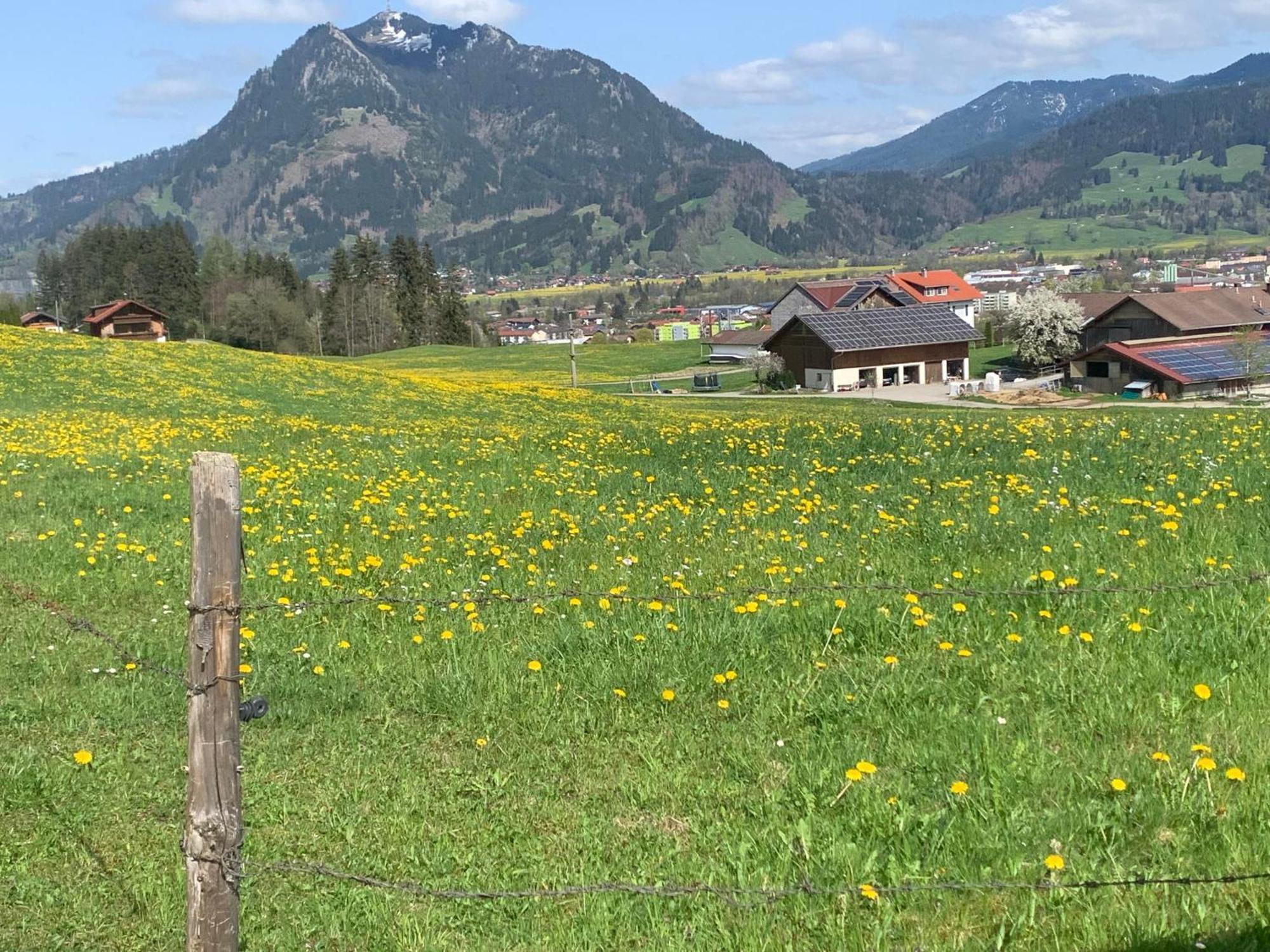 Ferienwohnungen Probst Ofterschwang Zewnętrze zdjęcie